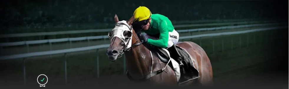 上海德比超,级杯,技战术对决,北京单场官网,单场彩票,在线投注,数据分析,彩票服务