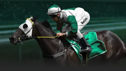 探索解决政府采购低价异常问题的财政部试点方案